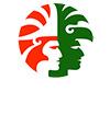 Heineken Mexico